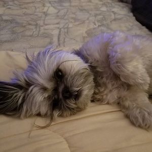 Meet your Posher, Tracy